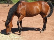 Photo de profil de java