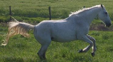 Photo de profil de jejelili