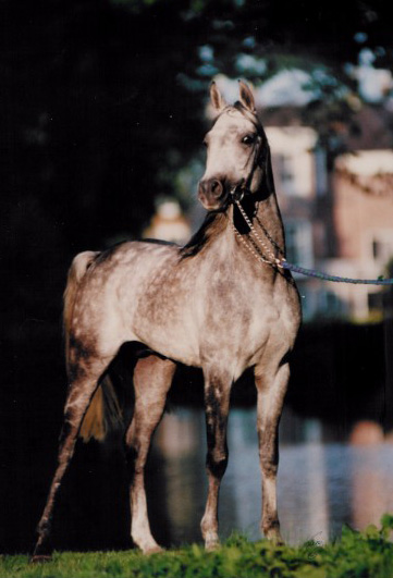 Photo de profil de jogral