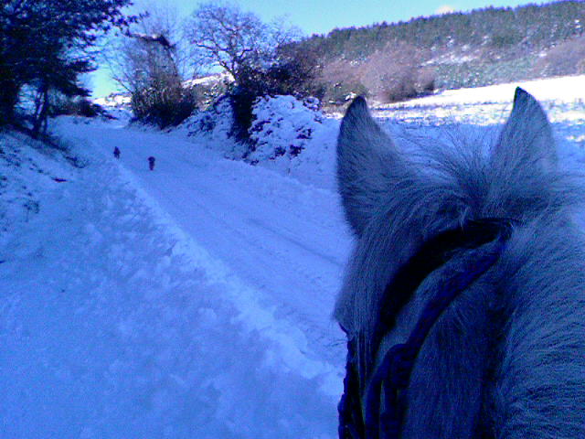 Photo de profil de joysssse