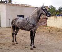 Photo de profil de jps