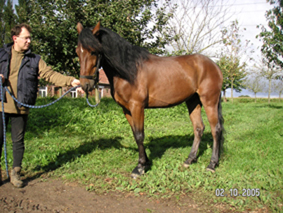 Photo de profil de juliette