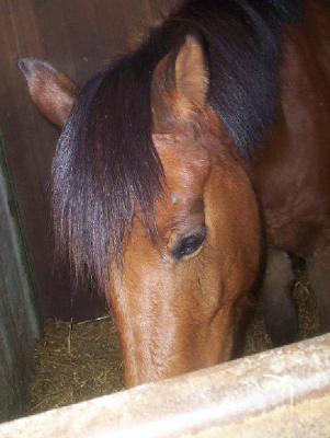 Photo de profil de kerjack21