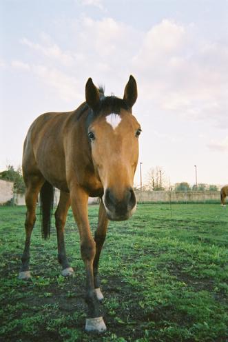 Photo de profil de lada