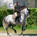 Photo de profil de lancelot