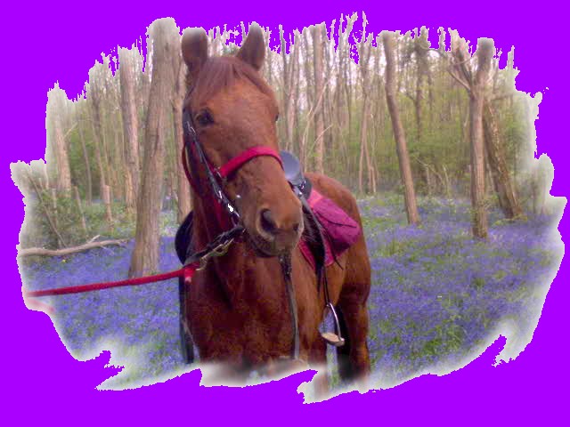 Photo de profil de lavanidu91