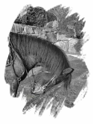 Photo de profil de lea-68