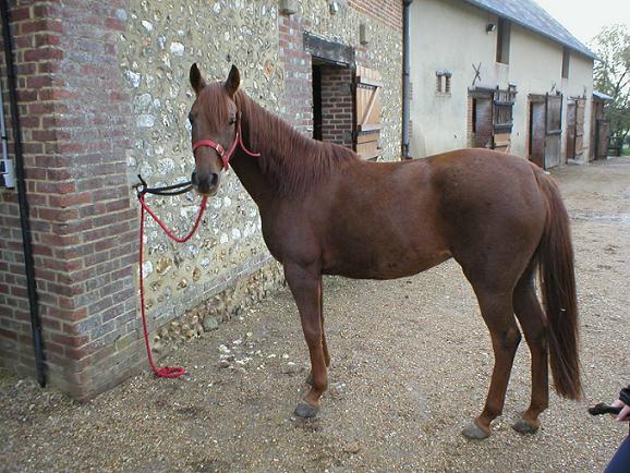 Photo de profil de leouch