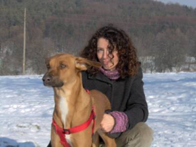 Photo de profil de lesoleilbrille