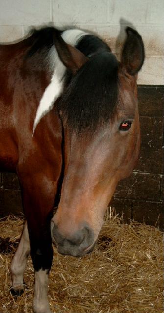 Photo de profil de lina59