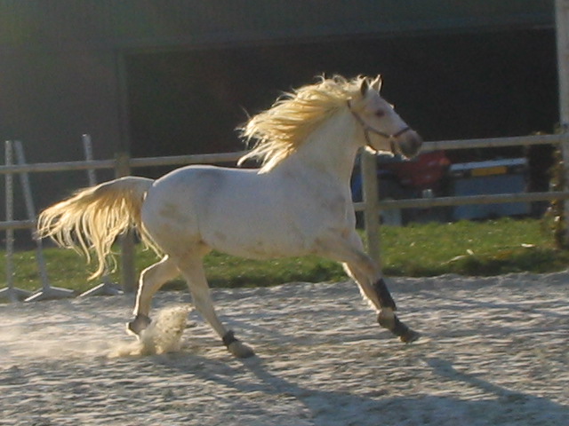 Photo de profil de lissas77