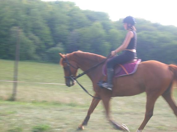 Photo de profil de lolodu46