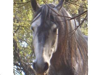 Photo de profil de loulette