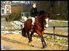 Photo de profil de love-horses