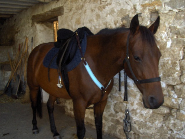 Photo de profil de lovea-78