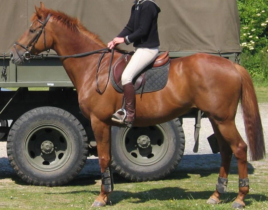 Photo de profil de lucie