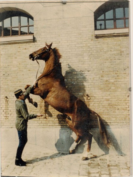 Photo de profil de droitdevant