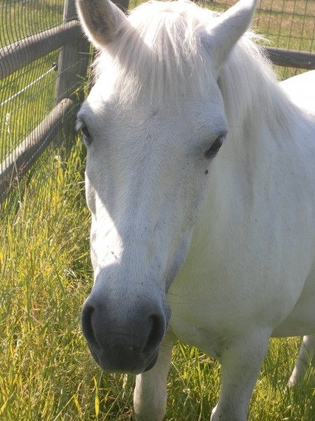 Photo de profil de a.i.a