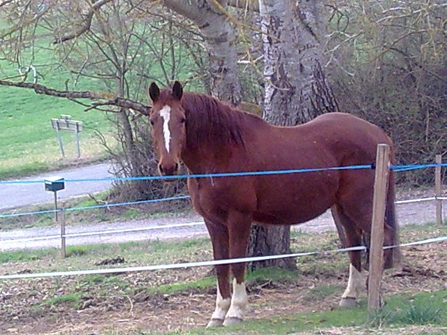 Photo de profil de golbynat