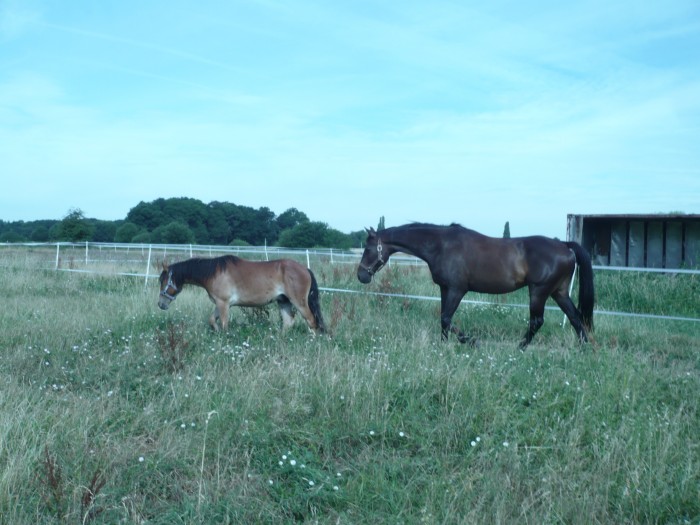 Photo de profil de enzounic