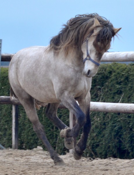 Photo de profil de umoriste