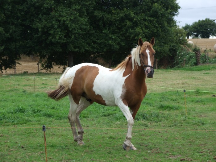 Photo de profil de sophielo