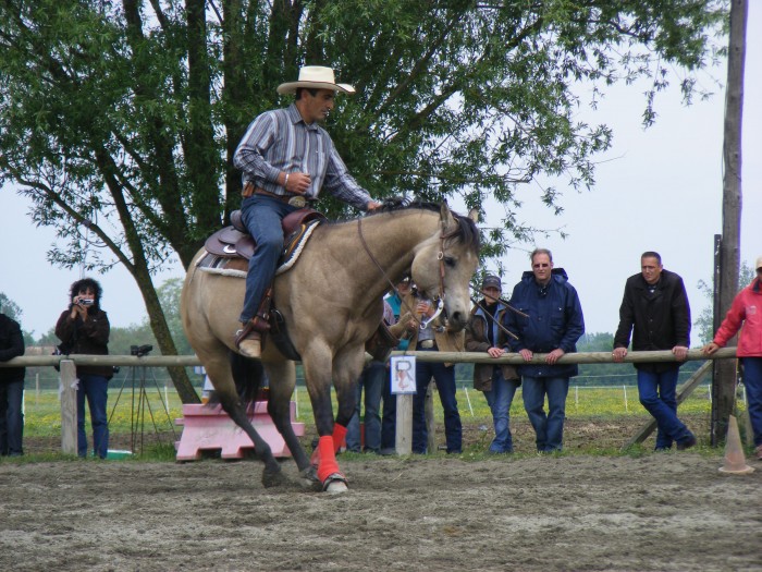 Photo de profil de lagone