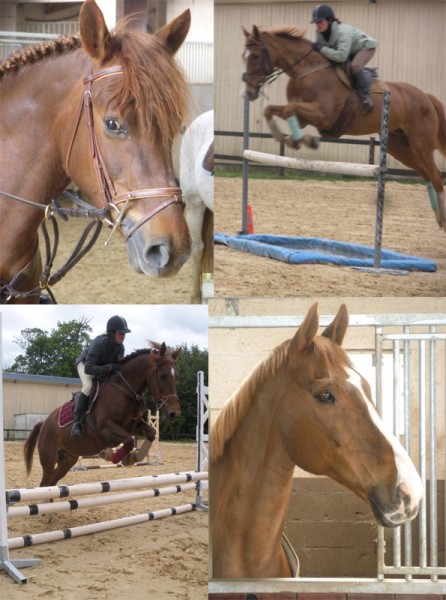 Photo de profil de denvers