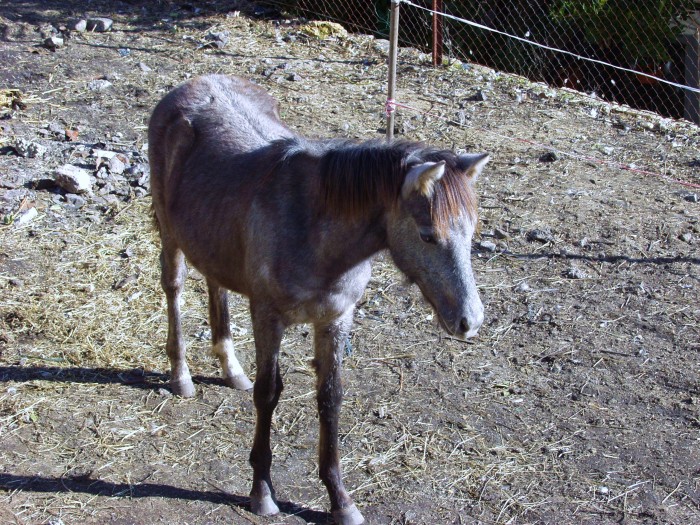 Photo de profil de vintara
