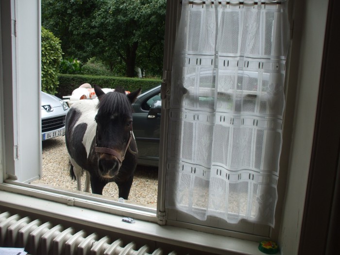 Photo de profil de marine22