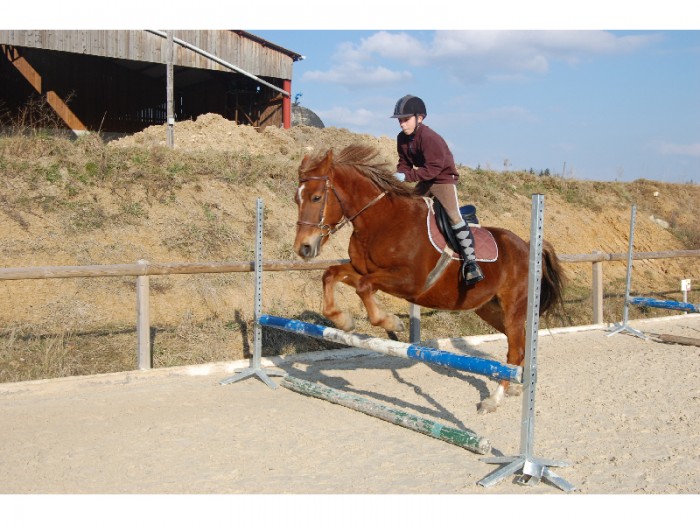 Photo de profil de max71