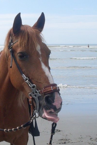 Photo de profil de javlanyka