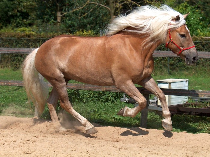 Photo de profil de mare50