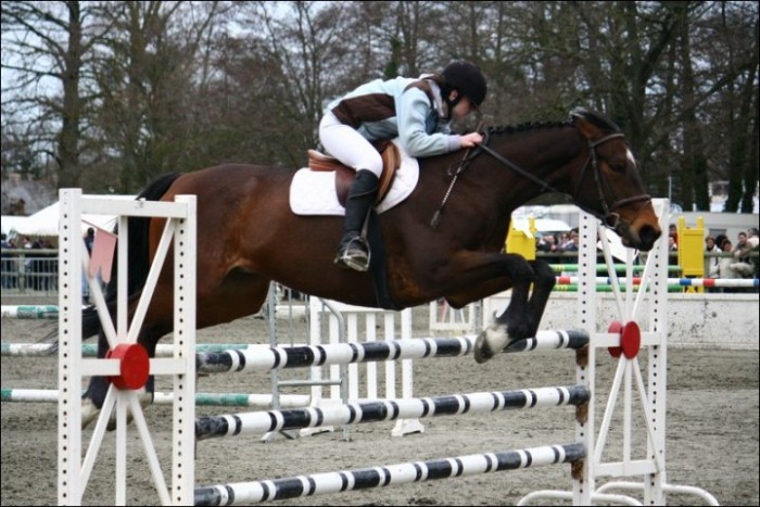 Photo de profil de ramzel008