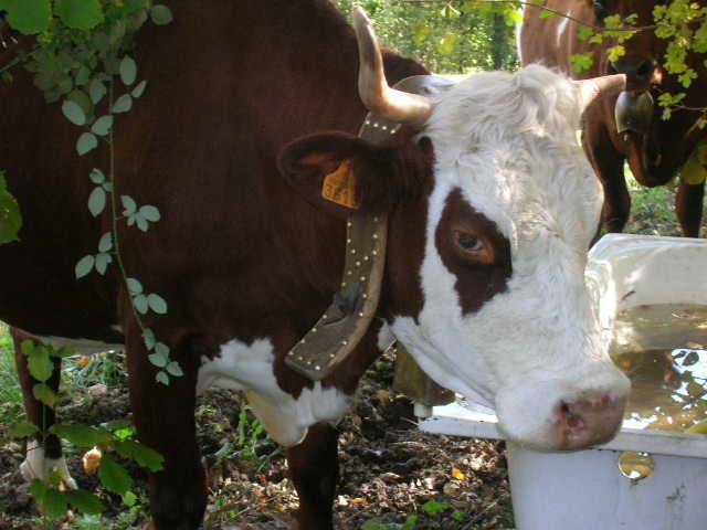 Photo de profil de loulou06