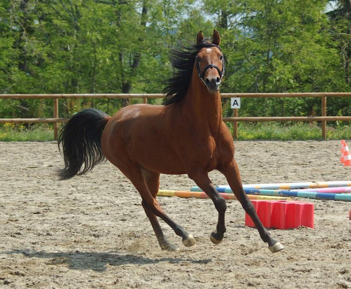 Photo de profil de tarkange