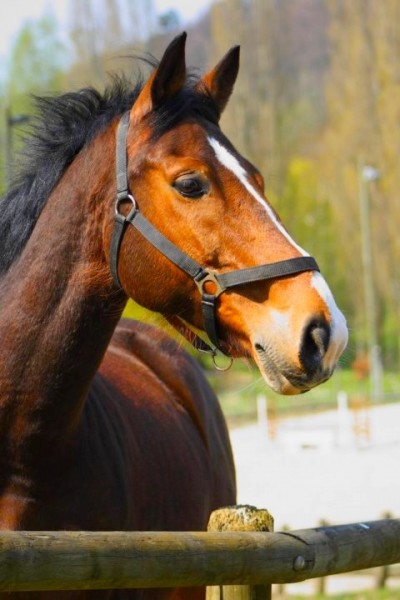 Photo de profil de xsacha