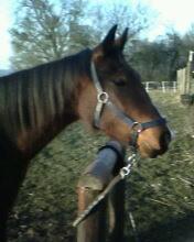 Photo de profil de phyllis