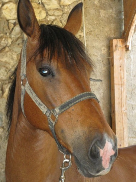 Photo de profil de loulou971