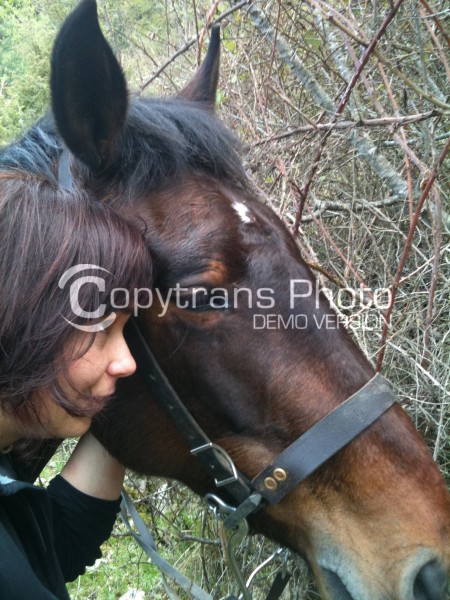 Photo de profil de lunalunera