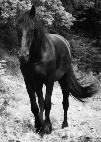 Photo de profil de lizaab