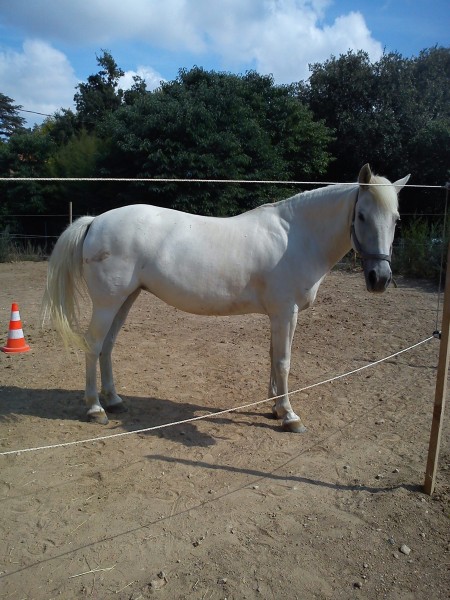 Photo de profil de debb