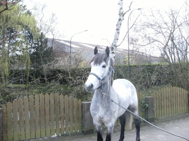 Photo de profil de ddaloah7