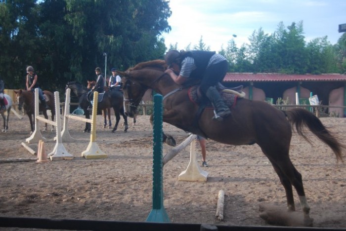 Photo de profil de soleene