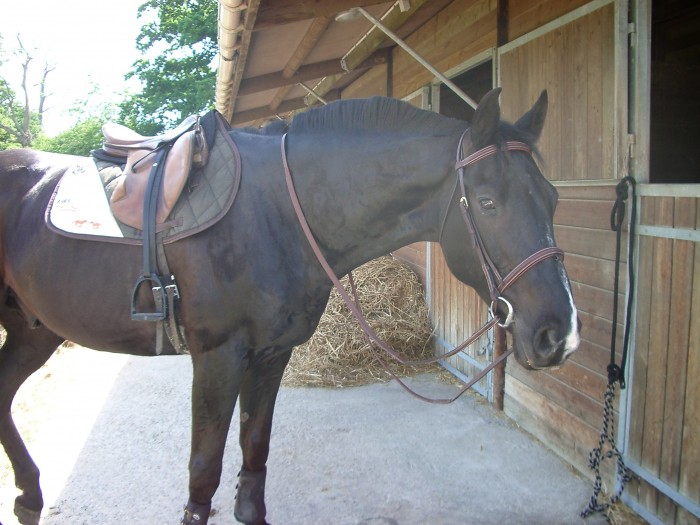 Photo de profil de jojo92