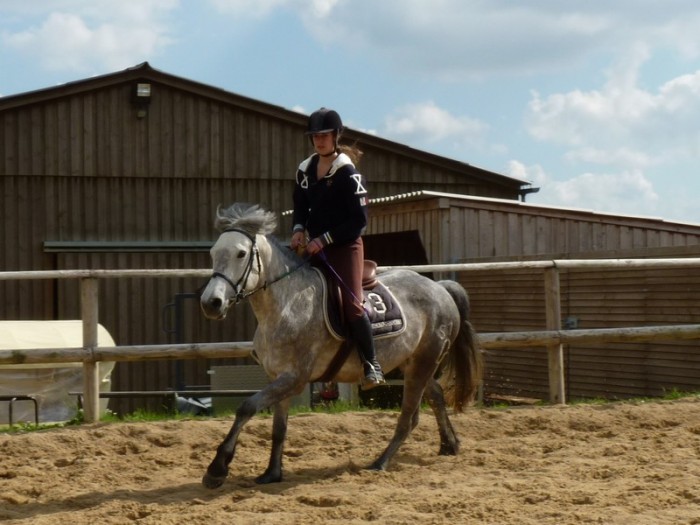 Photo de profil de hafline