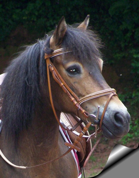 Photo de profil de louna88
