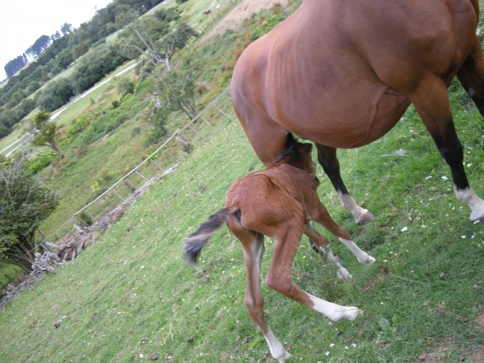 Photo de profil de leacandela