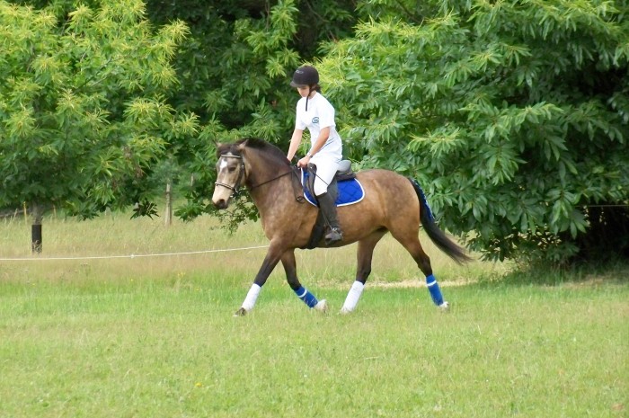 Photo de profil de laulye