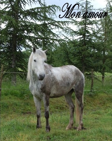 Photo de profil de hidalgo72150
